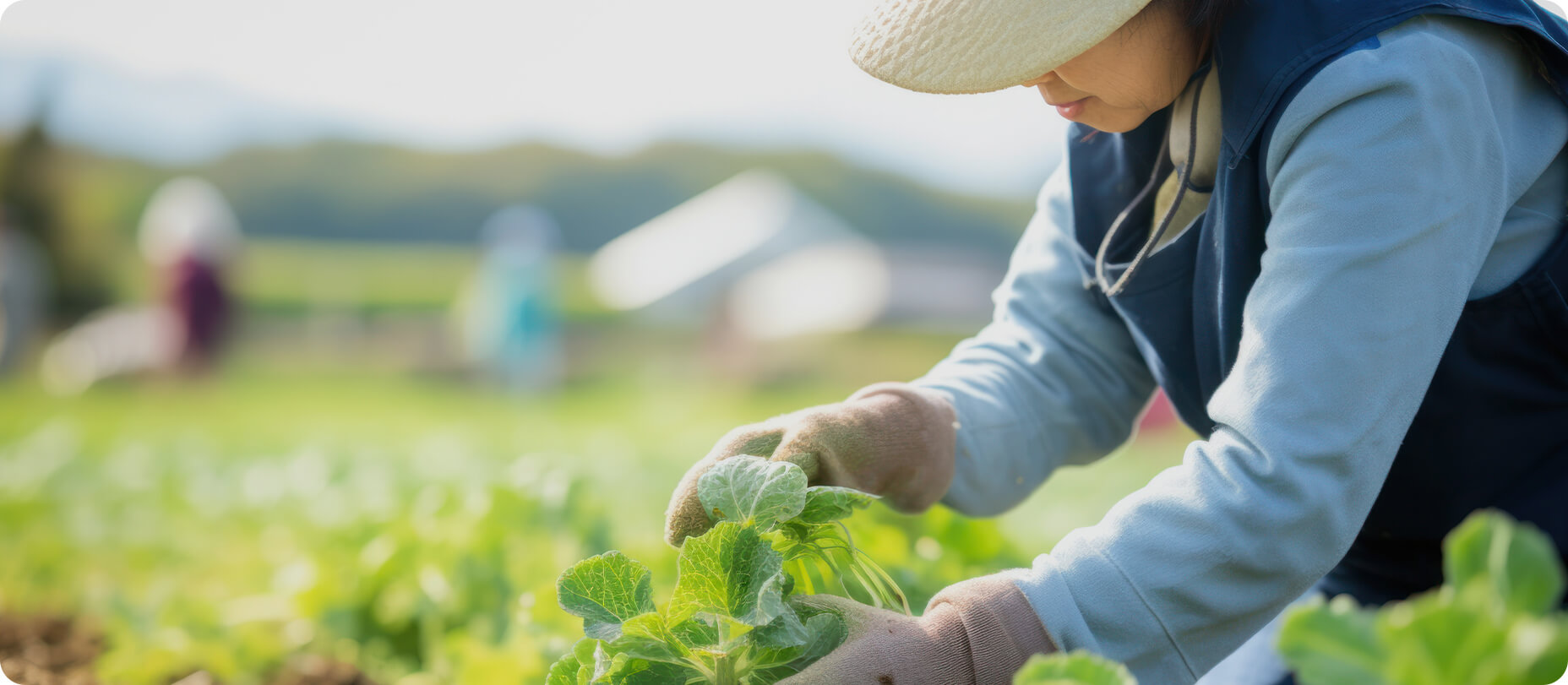 農家の想いを、そのままお届け！ “新鮮で美味しい”を多くの方々へ