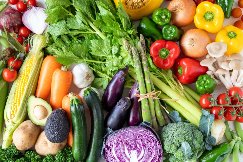 AdobeStock_510202790-960x640