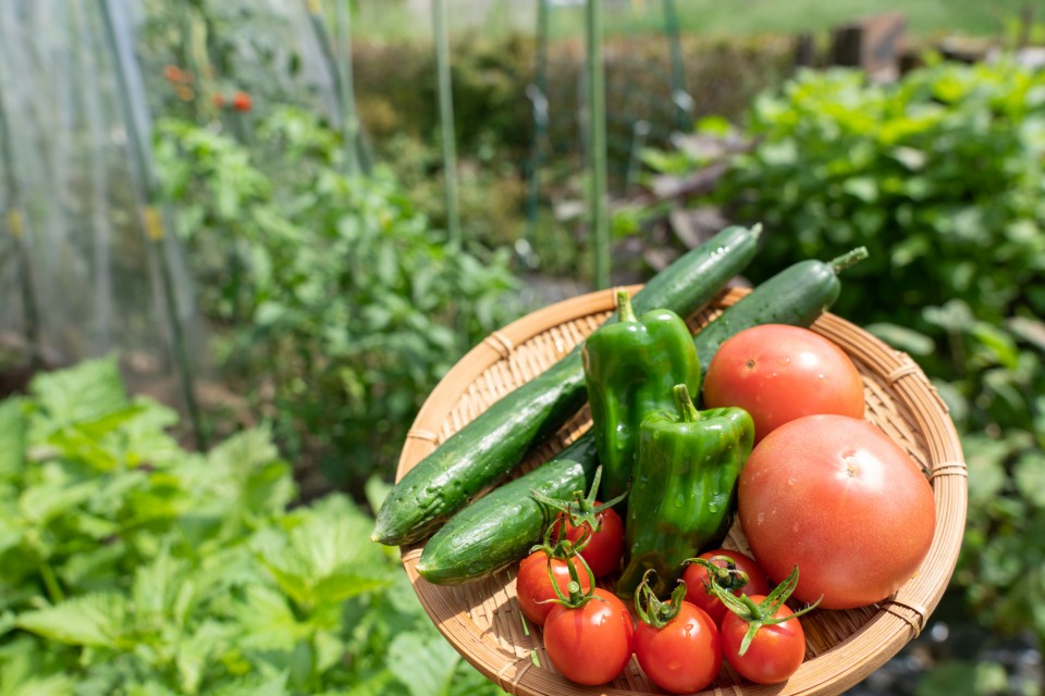 pixta_70960917_M1-960x640